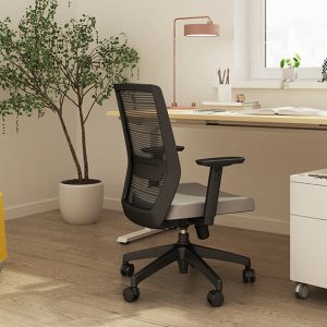 Friant Vektor Task Chair